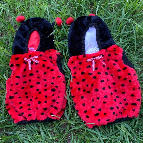 ladybug - Picture 3 of 5